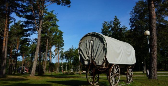 Senovinis vežimas stovi ant žolės